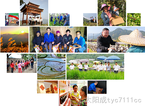 xinxing.png